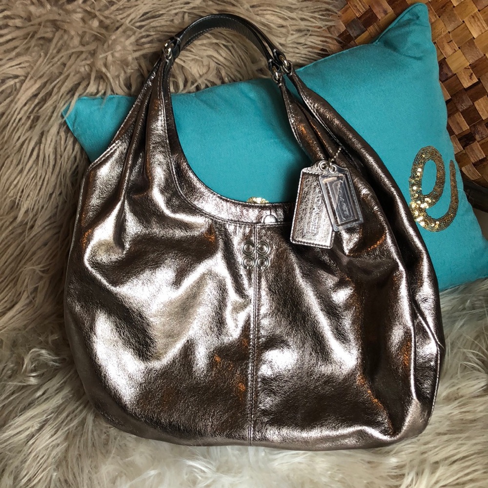 Flashy Metallic Hobo Coach